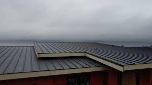 Best Steel Roofing  in Monticello, AR